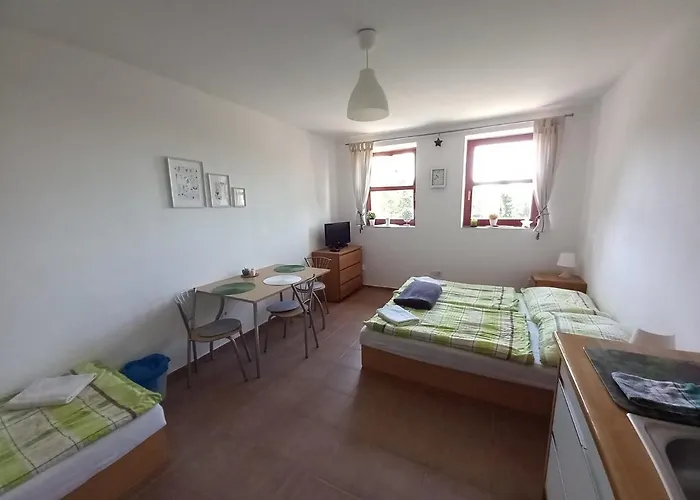 Appartement Na Horach *